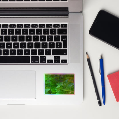 Lifestyle photo of a rectangular holographic sticker with a close-up image of an oregano sprig in a garden, placed on a laptop to the right of the mouse pad.