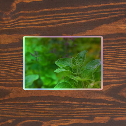 Lifestyle photo of a rectangular holographic sticker with a close-up image of an oregano sprig in a garden, placed on a brown wooden table surface.