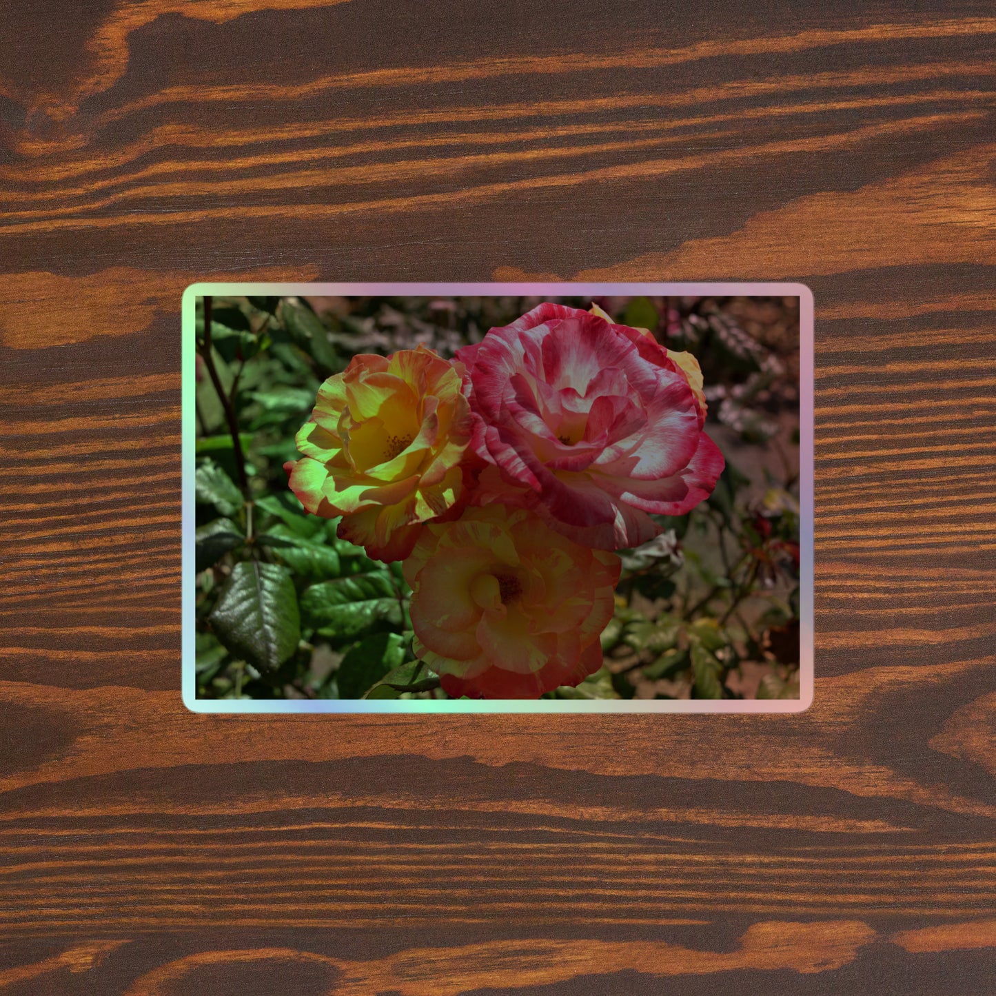 Lifestyle photo of a rectangular holographic sticker with a close-up image of three pink and yellow multicolored roses, placed on a brown wooden table surface.