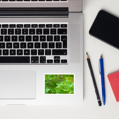 Lifestyle photo of a rectangular vinyl sticker with an image of an oregano sprig in an herb garden, placed on a laptop to the right of the mouse pad.