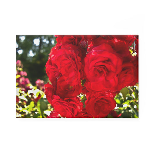 A rectangular button magnet with a close-up image of sunlit crimson roses.