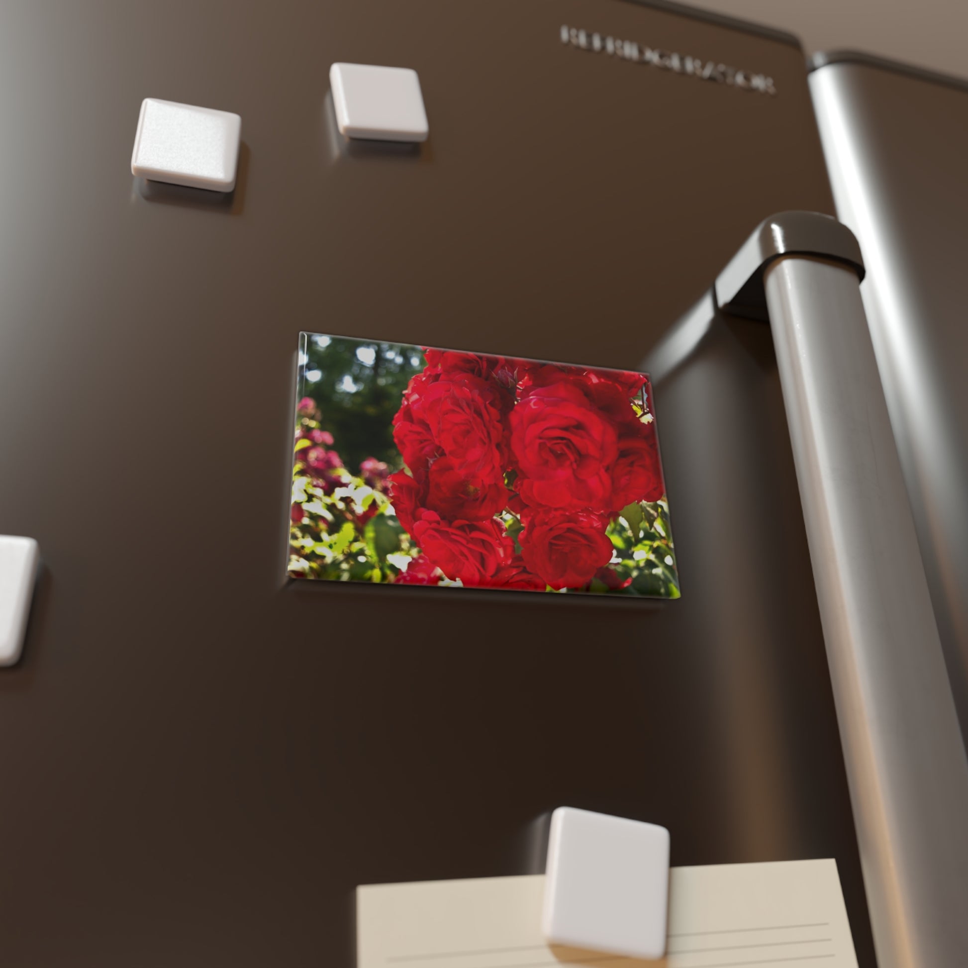 Lifestyle photo of a rectangular button magnet with a close-up image of sunlit crimson roses, placed on a fridge.
