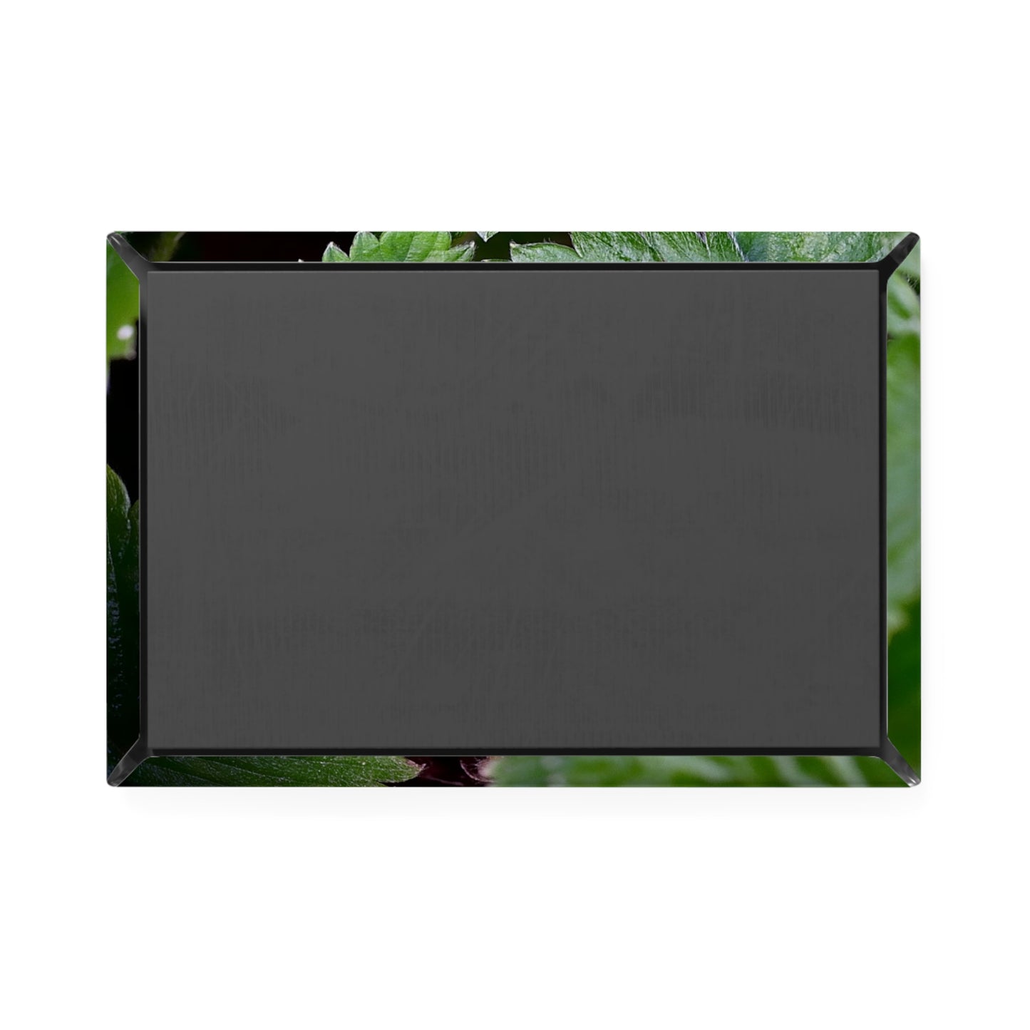Back view of a rectangular button magnet.