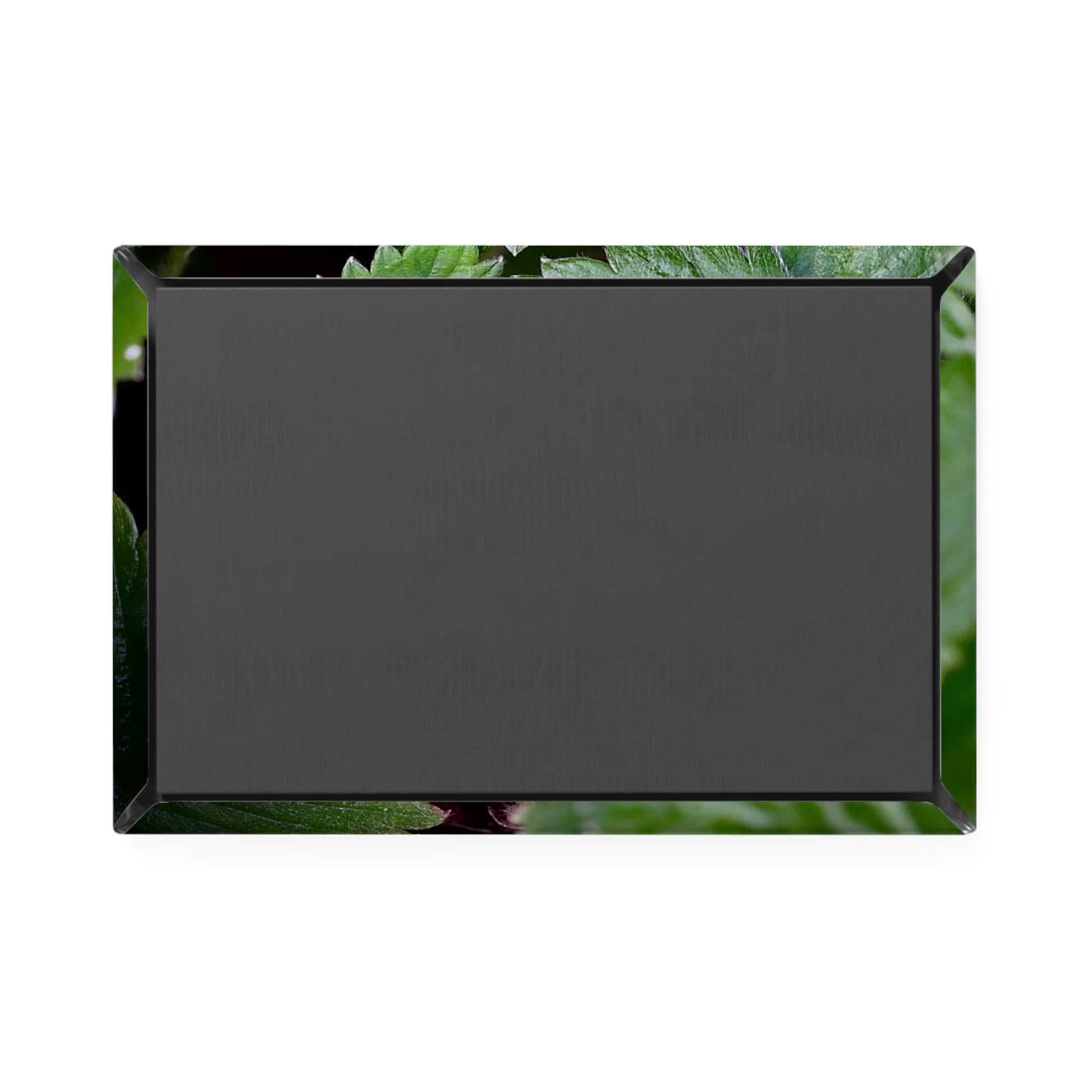 Back view of a rectangular button magnet.