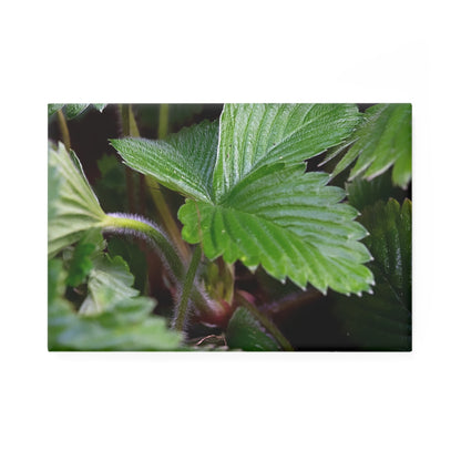 A rectangular button magnet with a close-up image of textured strawberry leaves.