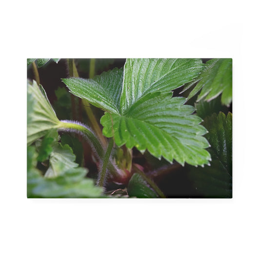A rectangular button magnet with a close-up image of textured strawberry leaves.