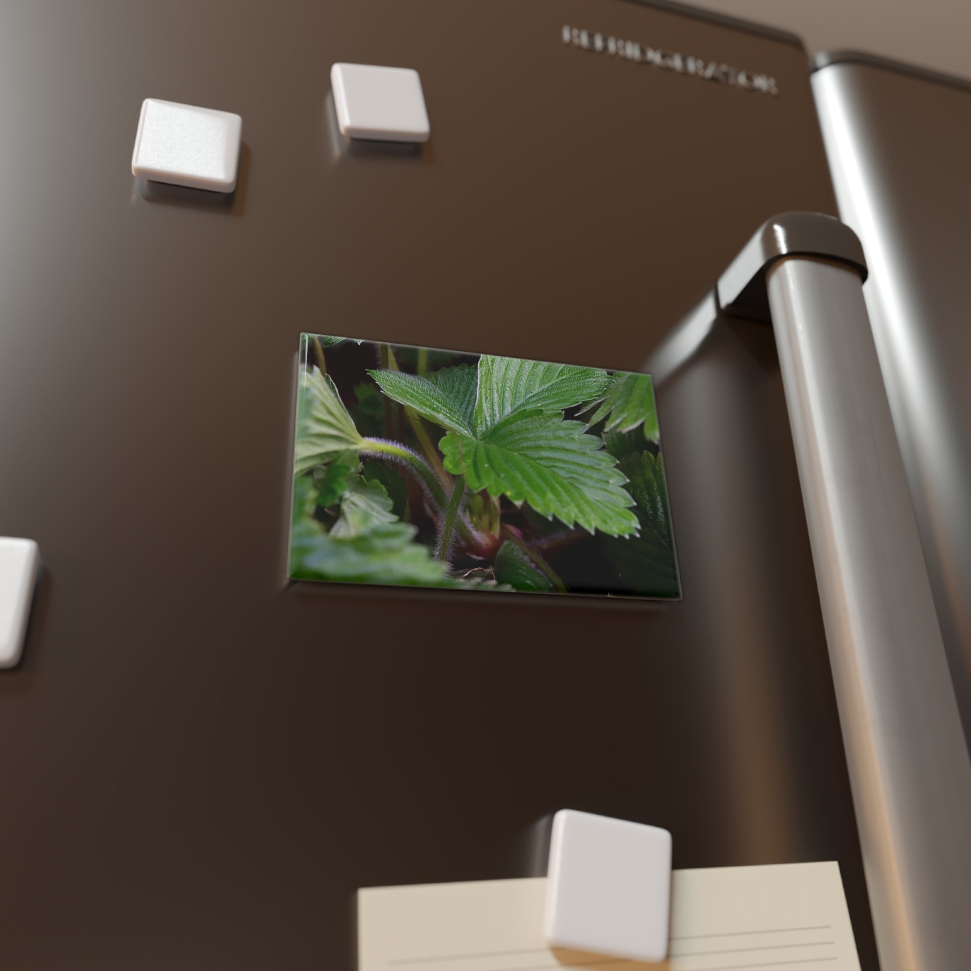Lifestyle photo of a rectangular button magnet with a close-up image of textured strawberry leaves, placed on a fridge.