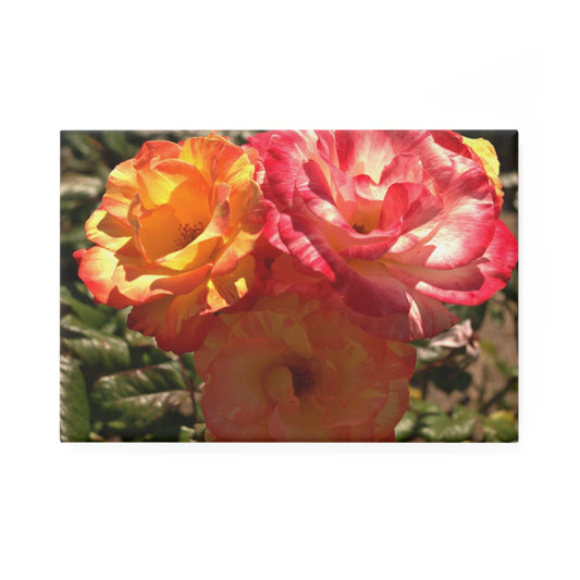 A rectangular button magnet with an image of three multicolored roses in full bloom.