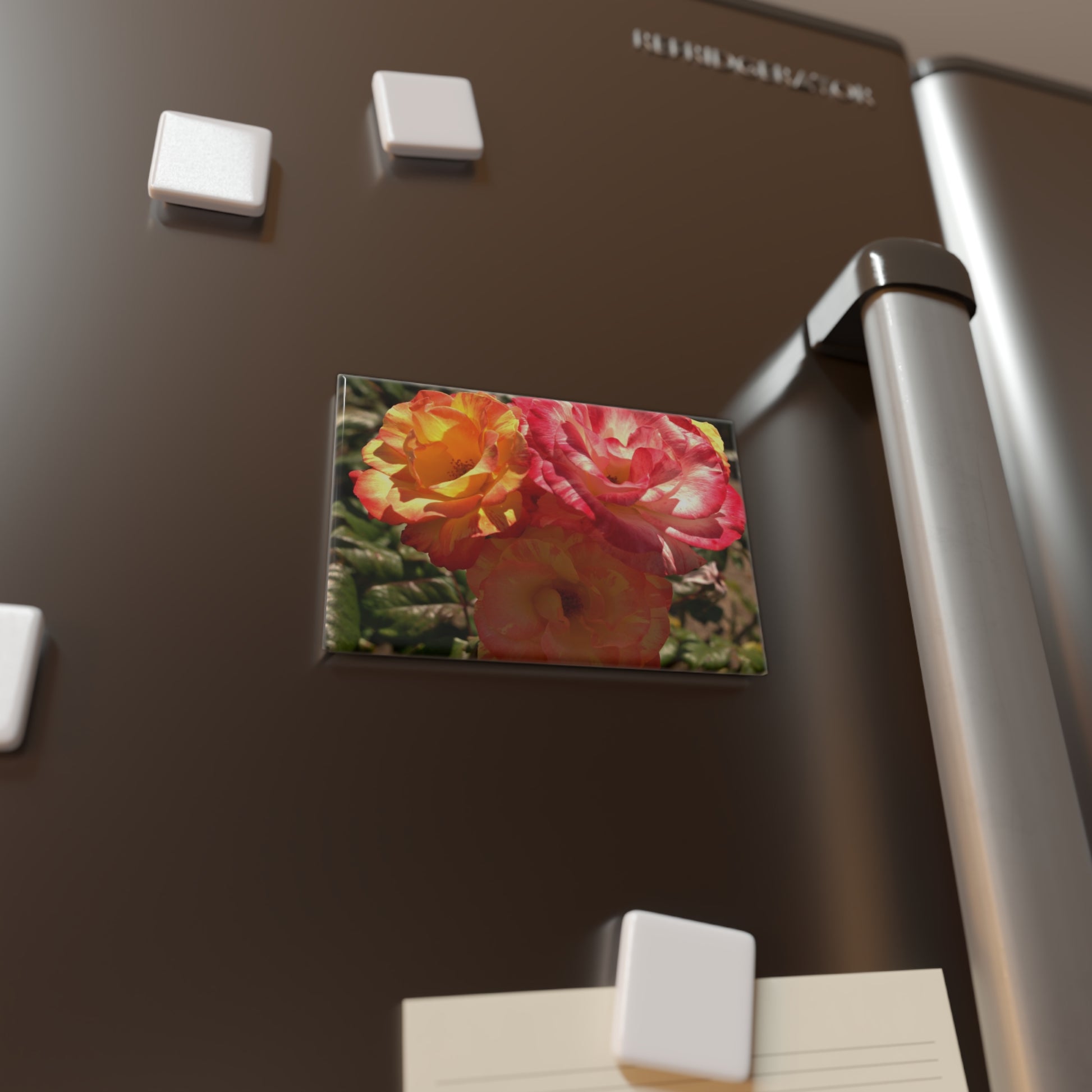 Lifestyle photo of a rectangular button magnet with an image of three multi-colored roses in full bloom, placed on a fridge.