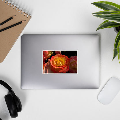 Lifestyle photo of a rectangular vinyl sticker with a close-up image of a pink and yellow rose bloom, placed on the outside of a laptop.