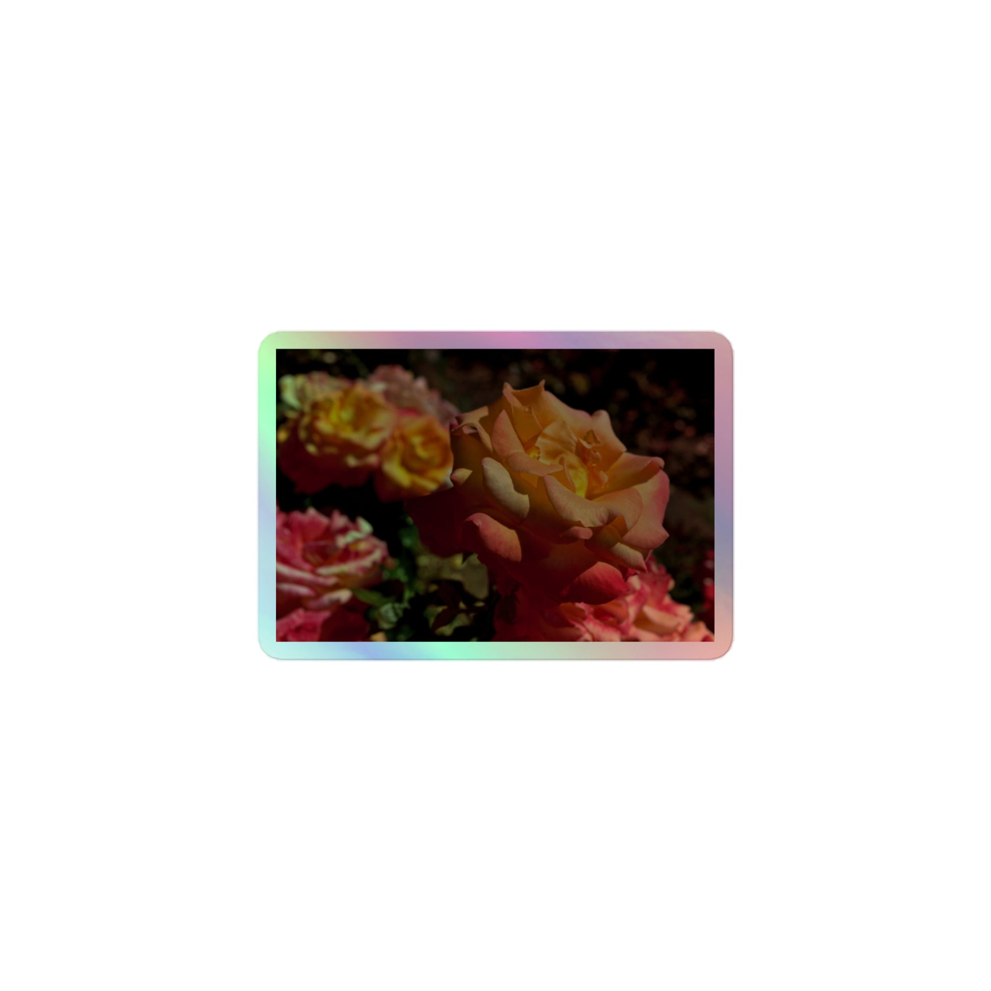 A small rectangular holographic sticker with an image of pink, orange and yellow roses in a garden.