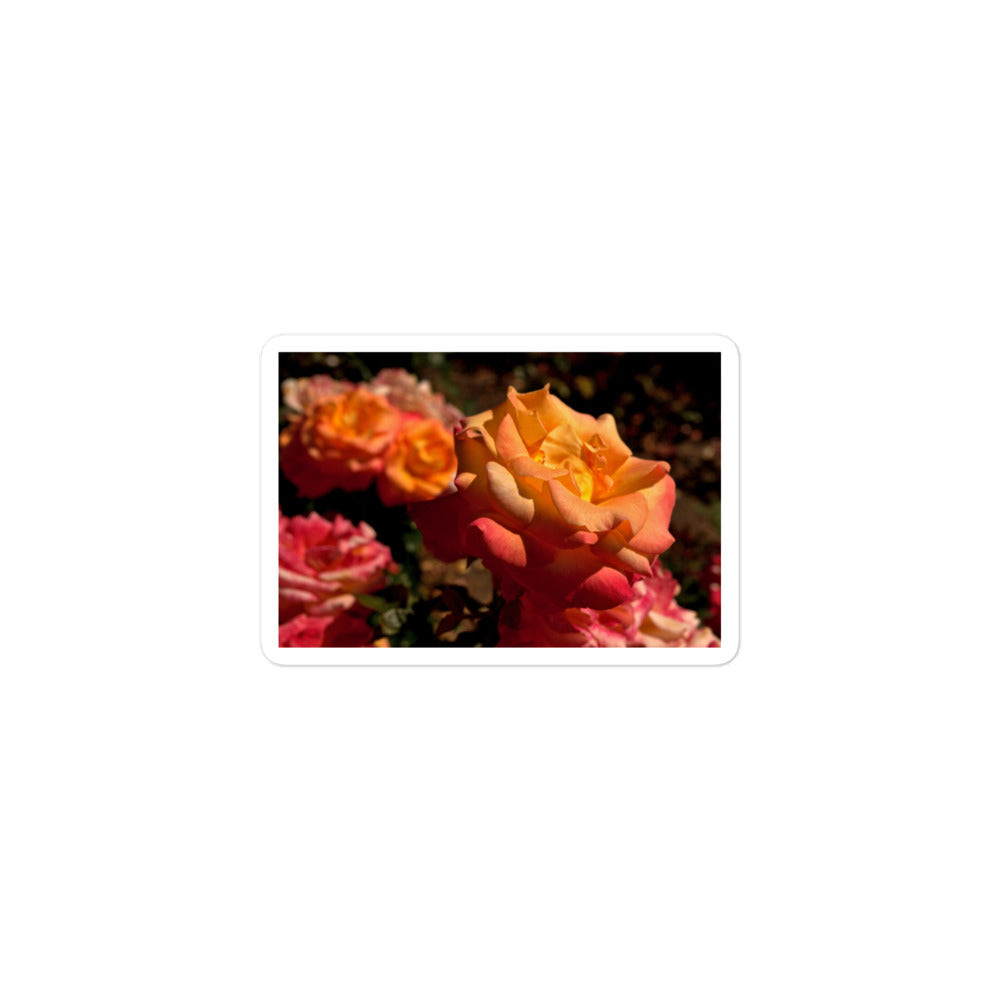A small rectangular vinyl sticker with an image of pink, orange, and yellow roses.