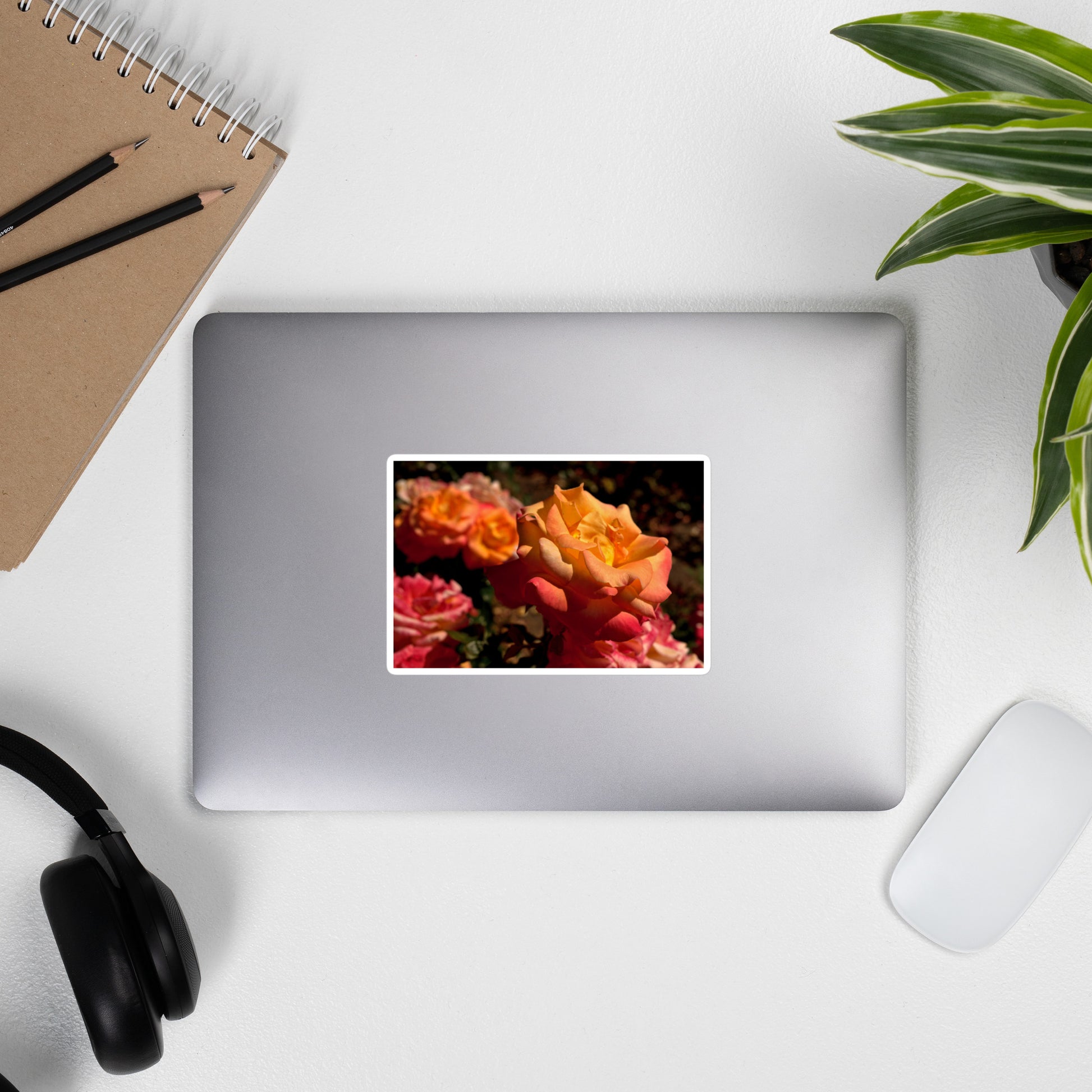 Lifestyle photo of a rectangular vinyl sticker with an image of pink, orange, and yellow roses, placed on the outside of a laptop.