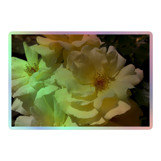 A large rectangular holographic sticker with an image of off-white rose blooms with visible stamen.