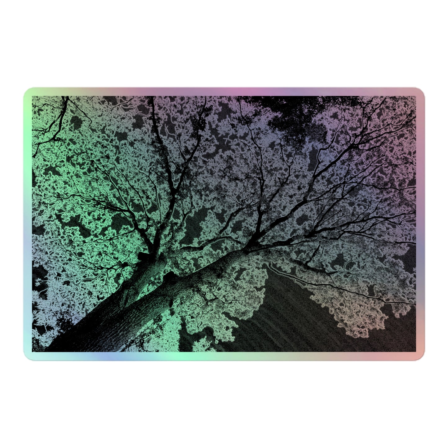 A large rectangular holographic sticker with an image of a dark embossed tree lightning design.