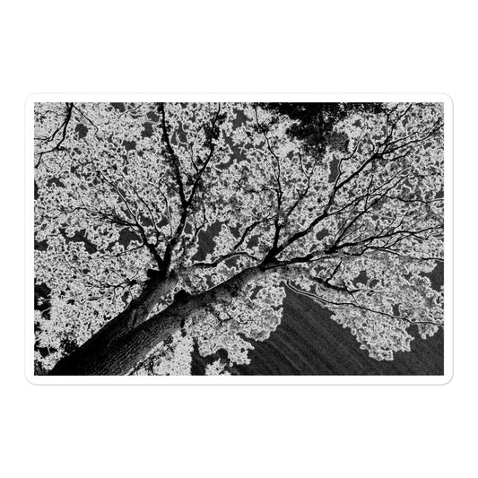 A large rectangular vinyl sticker with an image of an dark embossed tree design with lightning like features.