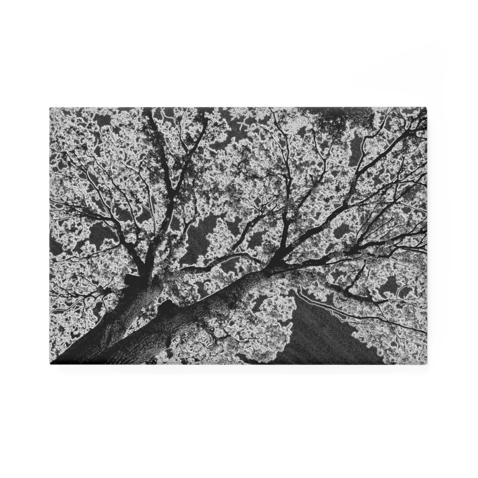 A rectangular button magnet with an image of a dark embossed tree design with lightning like features.