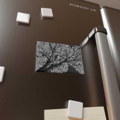 Lifestyle photo of a rectangular button magnet with an image of a dark embossed tree design with lightning like features, placed on a fridge.