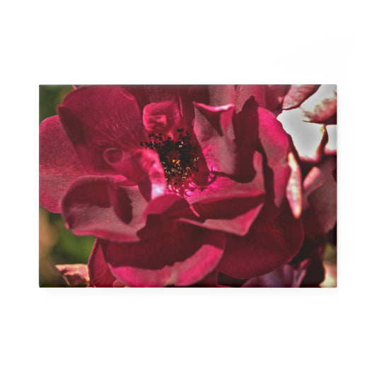 A rectangular button magnet with a close-up image of a deep burgundy rose.