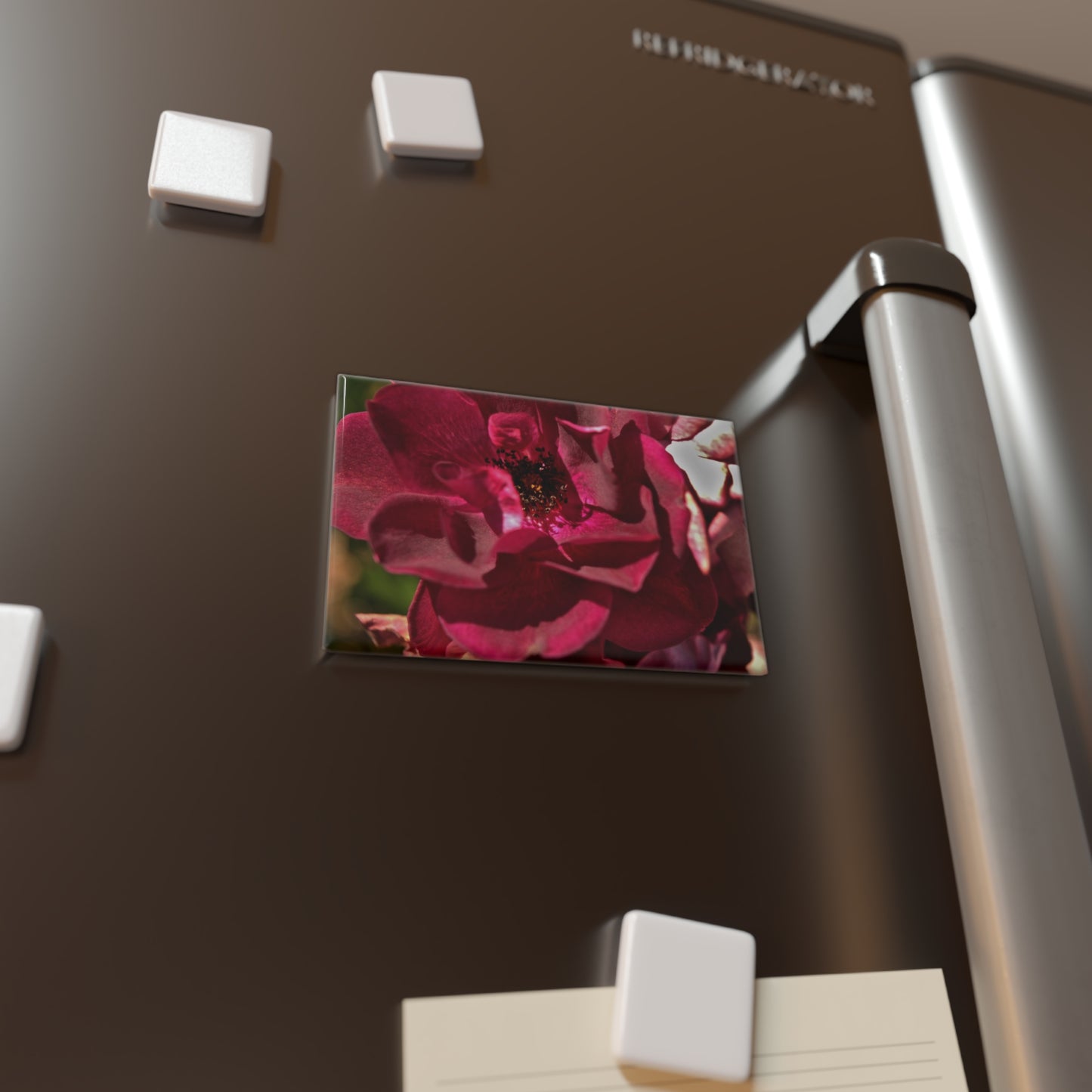 Lifestyle photo of a rectangular button magnet with a close-up image of a deep burgundy rose, placed on a fridge.