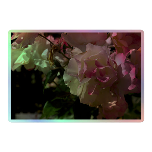 A large rectangular holographic sticker with an image of pink tipped white rose blooms.