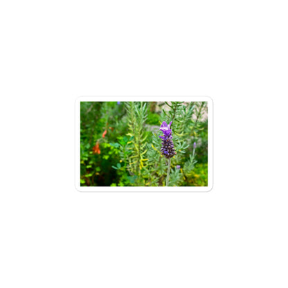 A small rectangular vinyl sticker with an image of a lavender bloom in an herb garden.