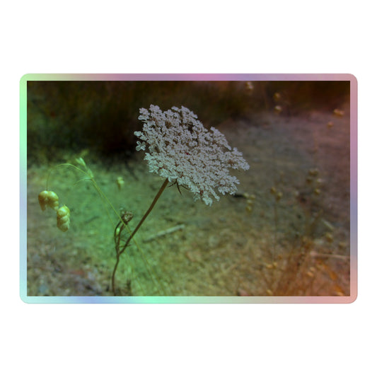 A large rectangular holographic sticker with a close-up image of a Queen Anne's Lace flower.