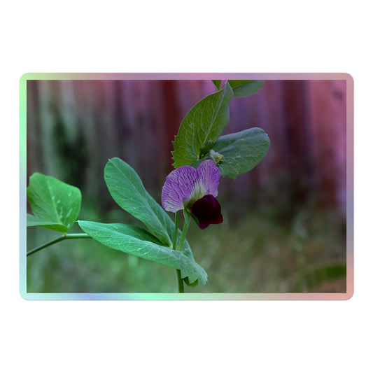A large rectangular holographic sticker with a close-up image of a purple sweet pea with green leaves.