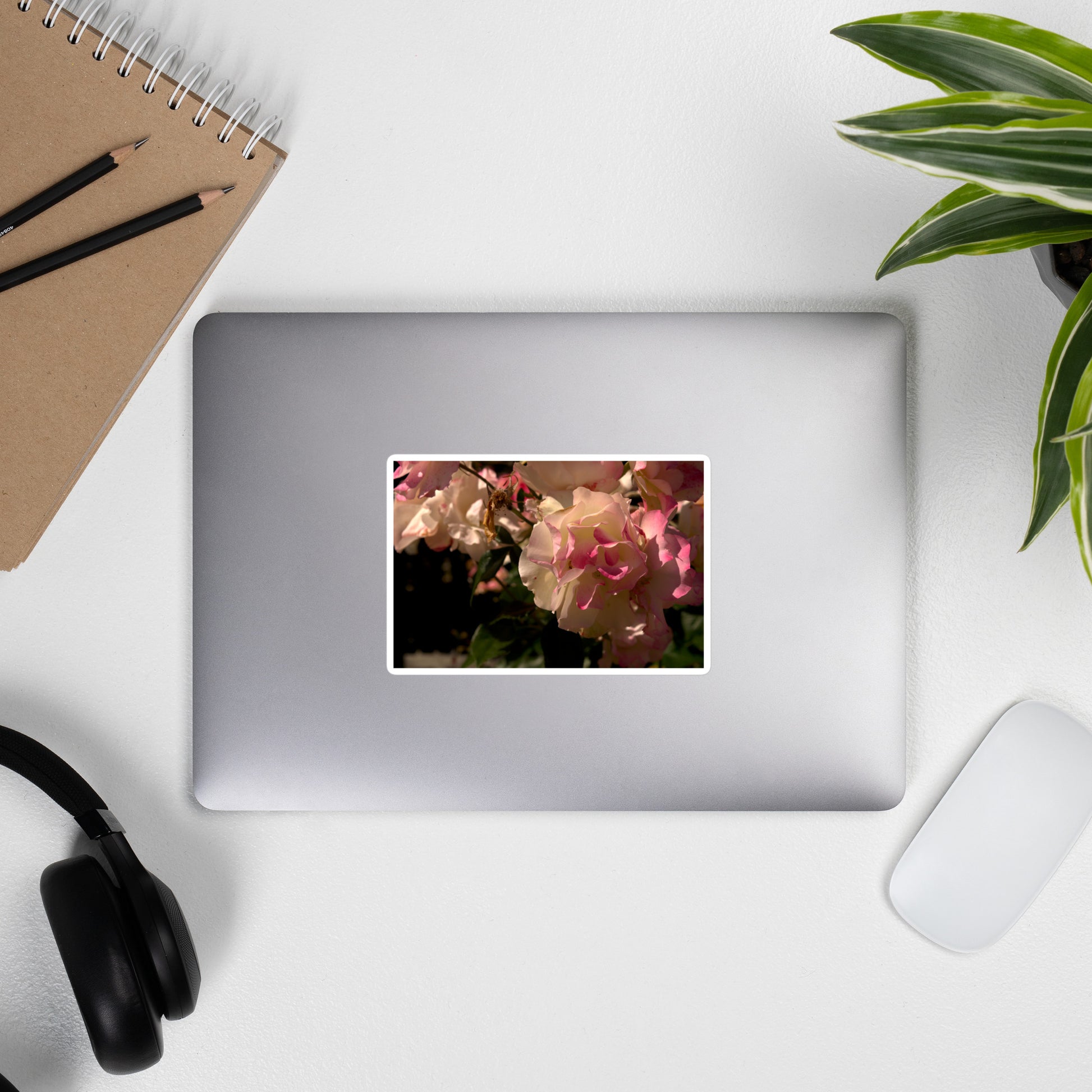 Lifestyle photo of a rectangular vinyl sticker with an image of light pink and white blooms on a rose bush, placed on the outside of a laptop.