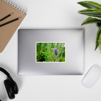 Lifestyle photo of a rectangular vinyl sticker with an image of a lavender bloom in an herb garden, placed on the outside of a laptop.