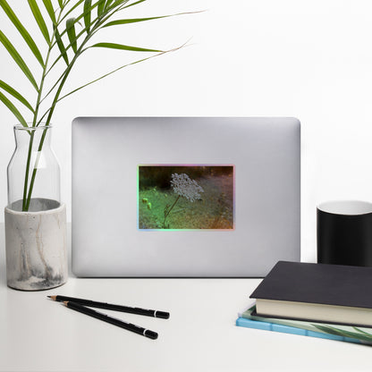 Lifestyle photo of a rectangular holographic sticker with a close-up image of a Queen Anne's Lace flower, placed on a laptop with desk supplies nearby.