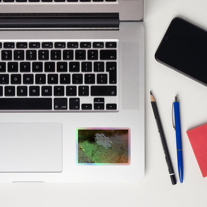 Lifestyle photo of a rectangular holographic sticker with a close-up image of a Queen Anne's Lace flower, placed on a laptop to the right of the mouse pad.