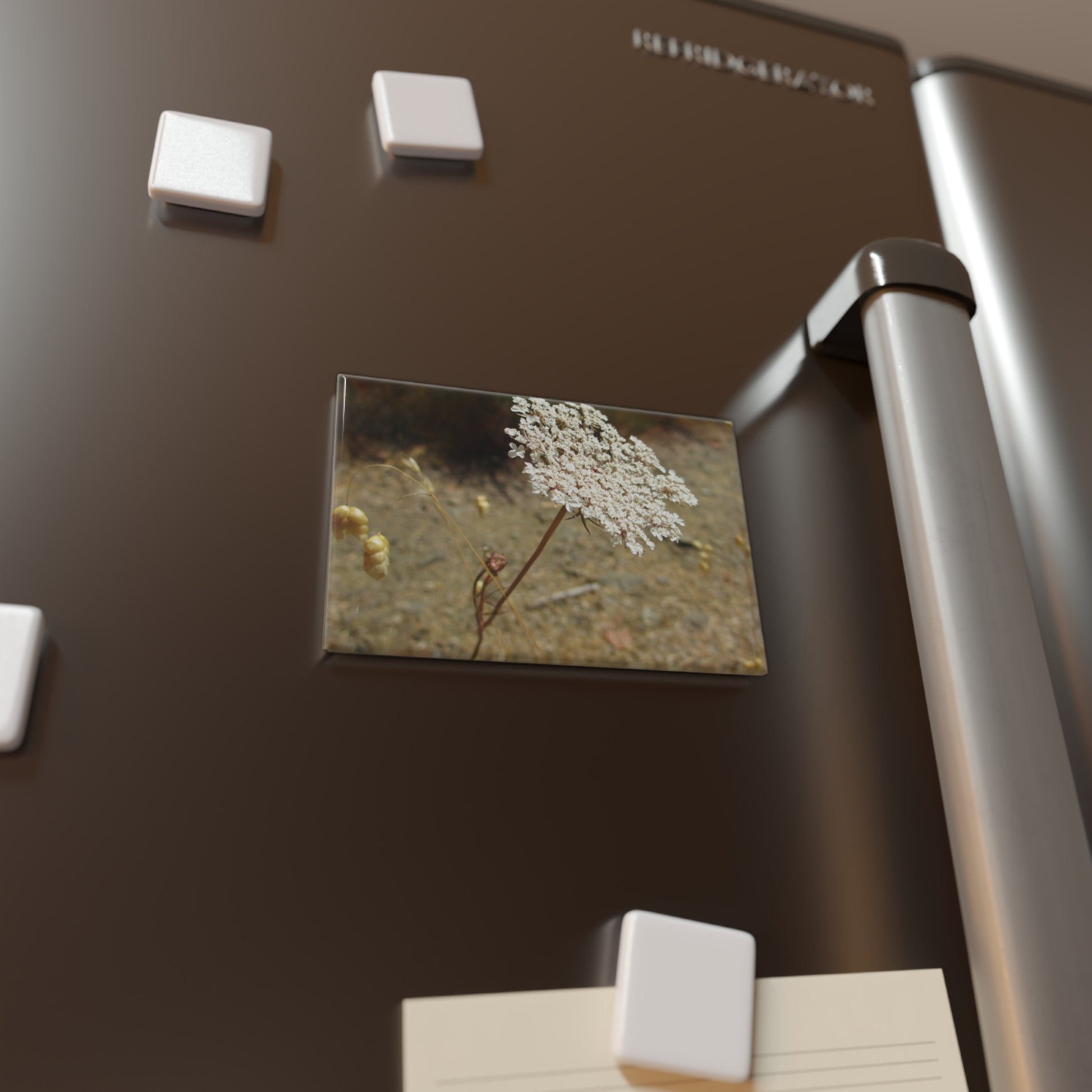 Lifestyle photo of a rectangular button magnet with an image of Queen Anne's lace flower, placed on a fridge.