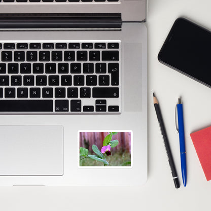 Lifestyle photo of a rectangular vinyl sticker with an image of a sweet pea bloom, placed on a laptop to the right of the mouse pad.