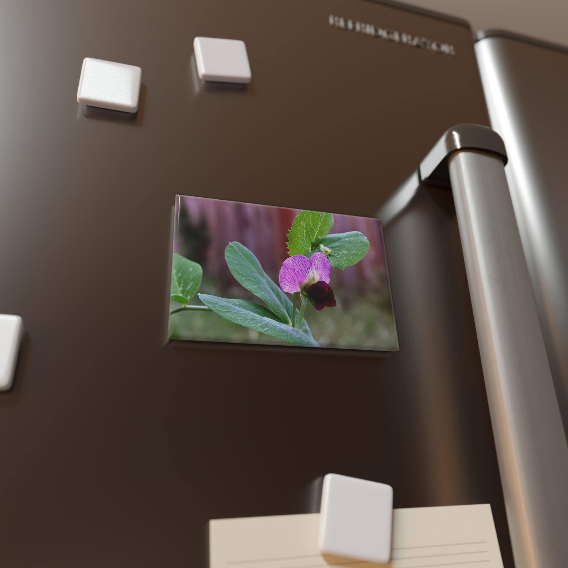 Lifestyle photo of a rectangular button magnet featuring a close-up image of a purple wild sweet pea flower with green leaves in the background, placed on a fridge.