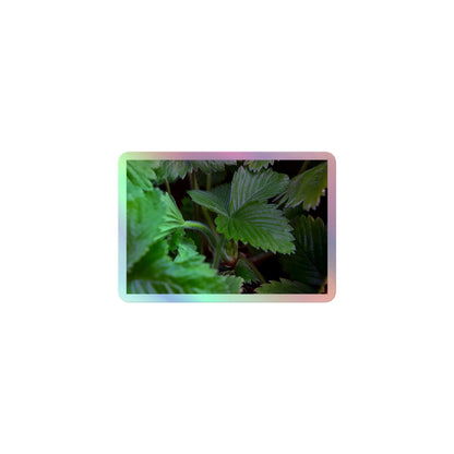 A small rectangular holographic sticker with a close-up image of textured, dark green strawberry leaves.