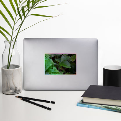 Lifestyle photo of a rectangular holographic sticker with a close-up image of textured, dark green strawberry leaves, placed on a laptop with desk supplies nearby.