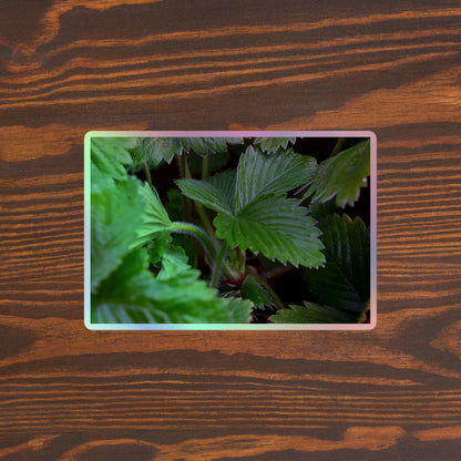 Lifestyle photo of a rectangular holographic sticker with a close-up image of textured, dark green strawberry leaves, placed on a brown wooden table surface.