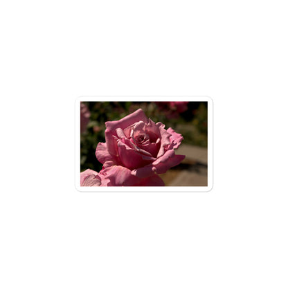 A small rectangular vinyl sticker with a close-up image of a bright pink rose bloom.