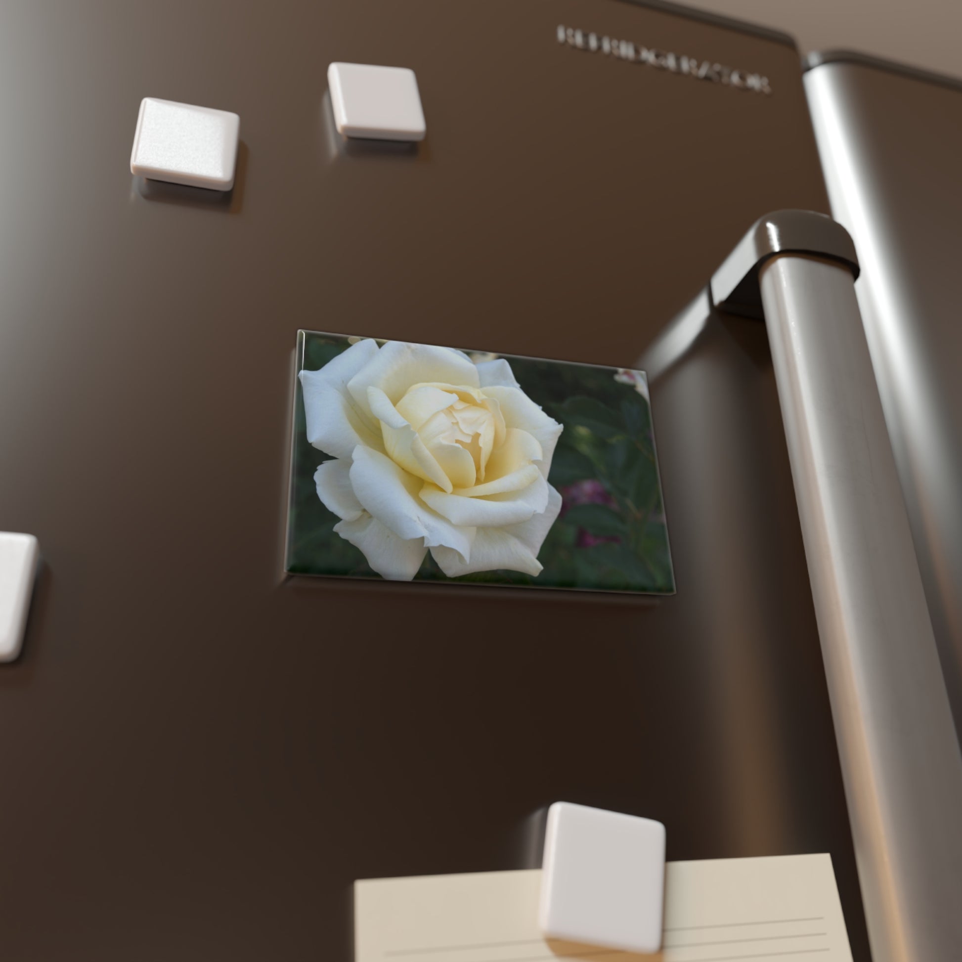 Lifestyle photo of a rectangular button magnet with a close-up of a white rose bloom with a golden center, placed on a fridge.