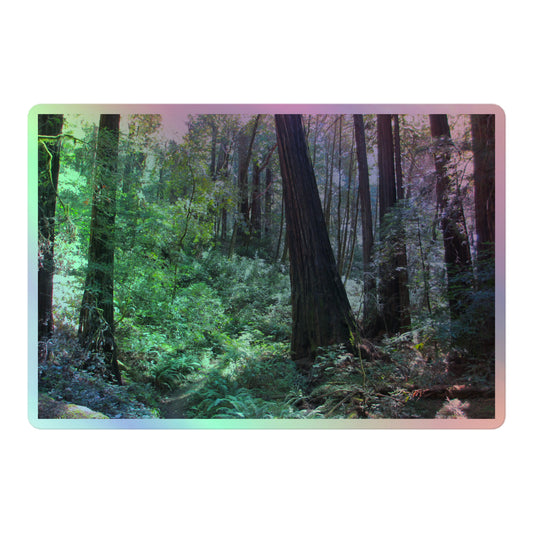 A large rectangular holographic sticker with an image of a trail through a redwood forest with lots of green underbrush.