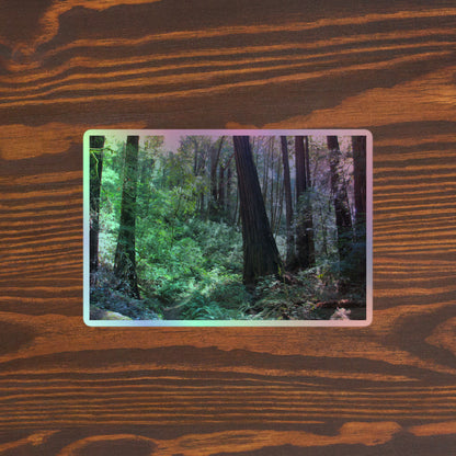 Lifestyle photo of a rectangular holographic sticker with an image of a trail through a redwood forest with lots of green underbrush, placed on a brown wooden table surface.