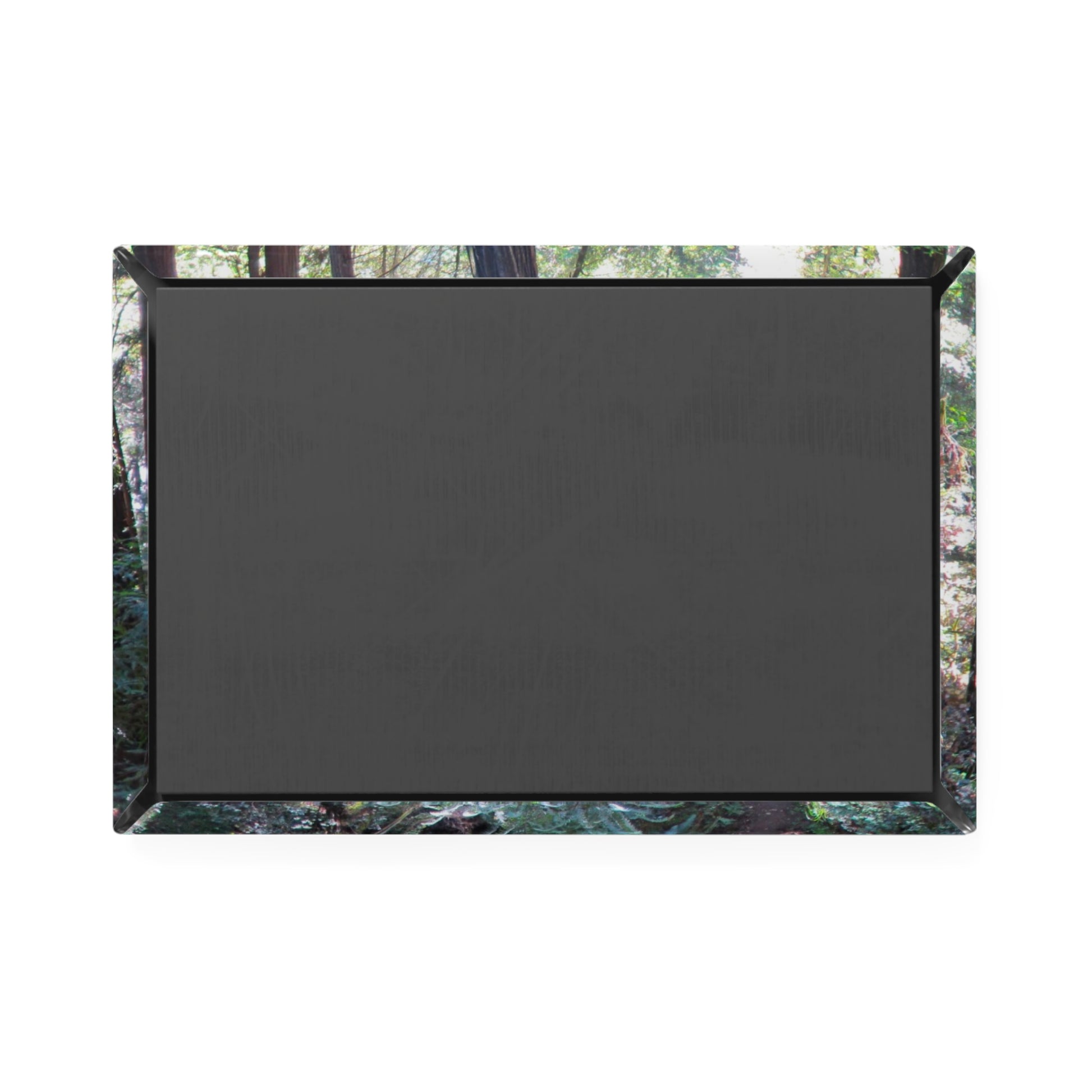 Back view of a rectangular button magnet.