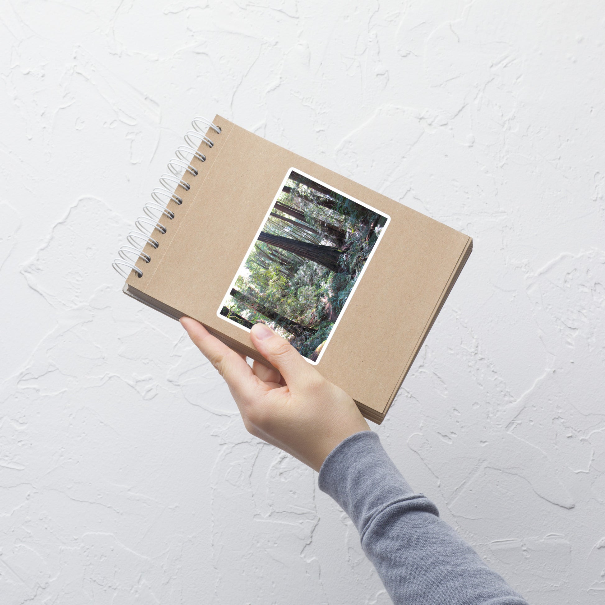 Lifestyle photo of a rectangular vinyl sticker with an image of a trail through a redwood forest, placed on a small notepad.