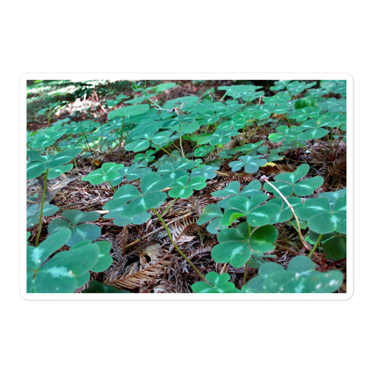 A large rectangular vinyl sticker with an image of a field of vivid green clovers and redwood needles.