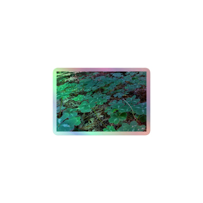 A small rectangular holographic sticker with an image of vivid green clover among redwood needles.