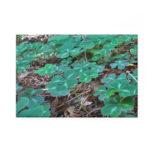 A rectangular button magnet with an image of a vivid green field of clover amidst redwood needles.
