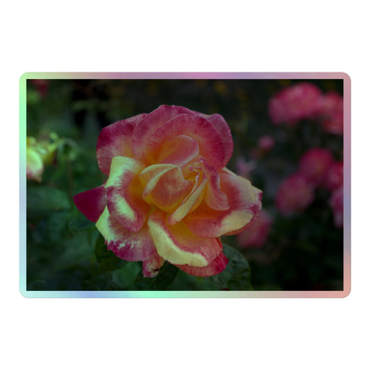 A large rectangular holographic sticker with a close-up image of a close-up image of pink and yellow rose bloom in a garden.
