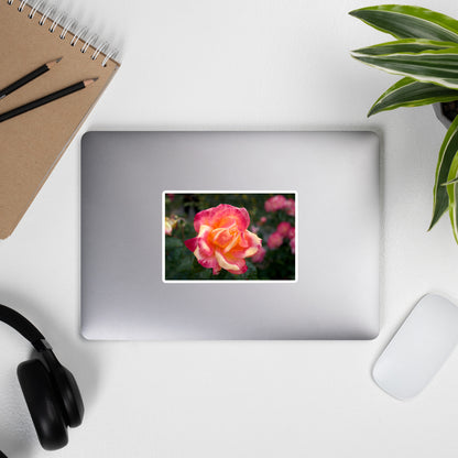 Lifestyle photo of a rectangular vinyl sticker with an image of a pink and yellow rose bloom with dark green leaves, placed on the outside of a laptop.