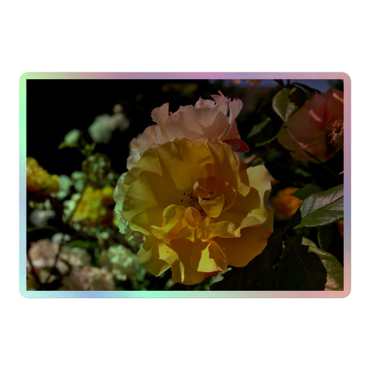 A large rectangular holographic sticker with an image of pale yellow and pink rose blooms in a garden.